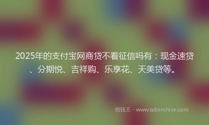 2025年的支付宝网商贷不看征信吗有：现金速贷、分期悦、吉祥购、乐享花、天美贷等。