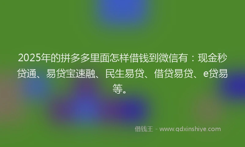 2025年的拼多多里面怎样借钱到微信有：现金秒贷通、易贷宝速融、民生易贷、借贷易贷、e贷易等。