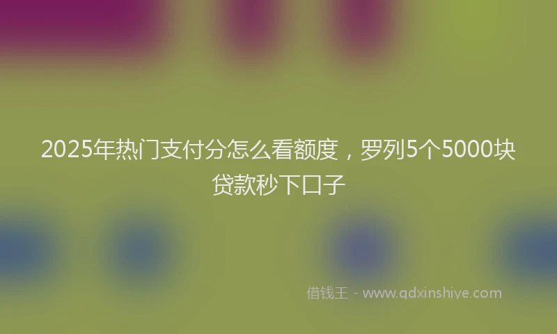 2025年热门支付分怎么看额度，罗列5个5000块贷款秒下口子