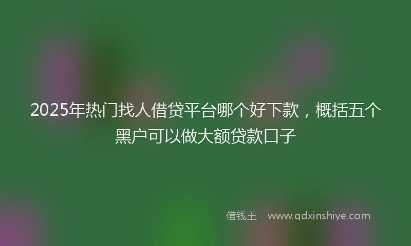 2025年热门找人借贷平台哪个好下款，概括五个黑户可以做大额贷款口子