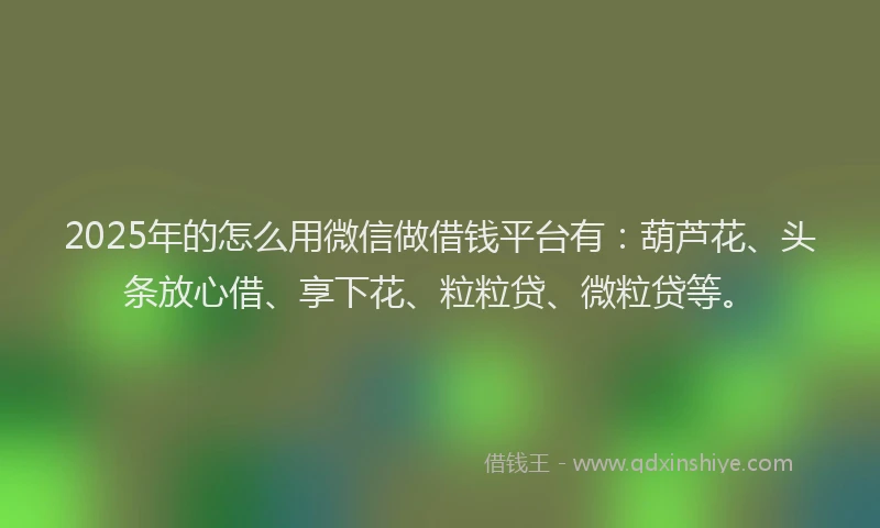 2025年的怎么用微信做借钱平台有：葫芦花、头条放心借、享下花、粒粒贷、微粒贷等。