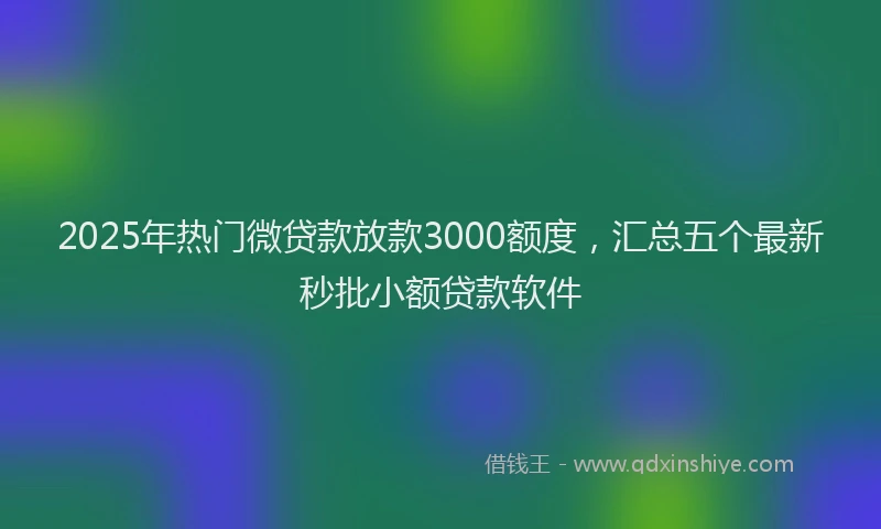 2025年热门微贷款放款3000额度，汇总五个最新秒批小额贷款软件