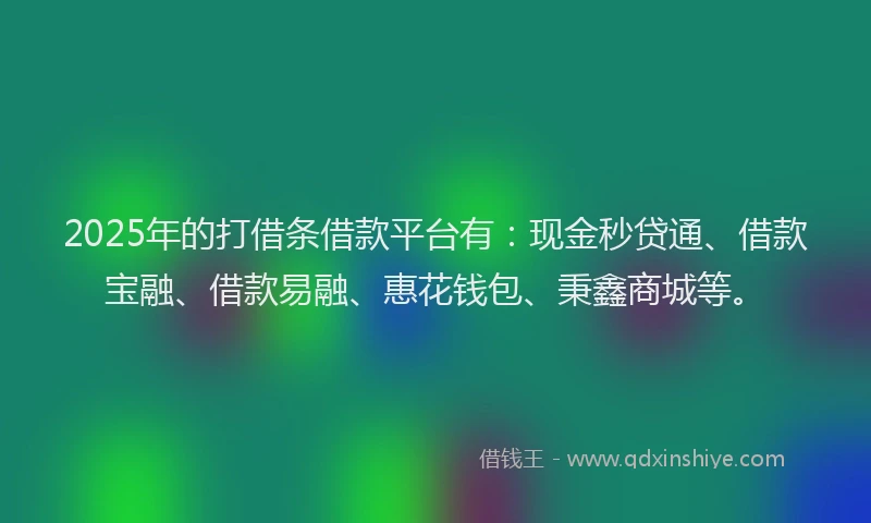 2025年的打借条借款平台有：现金秒贷通、借款宝融、借款易融、惠花钱包、秉鑫商城等。