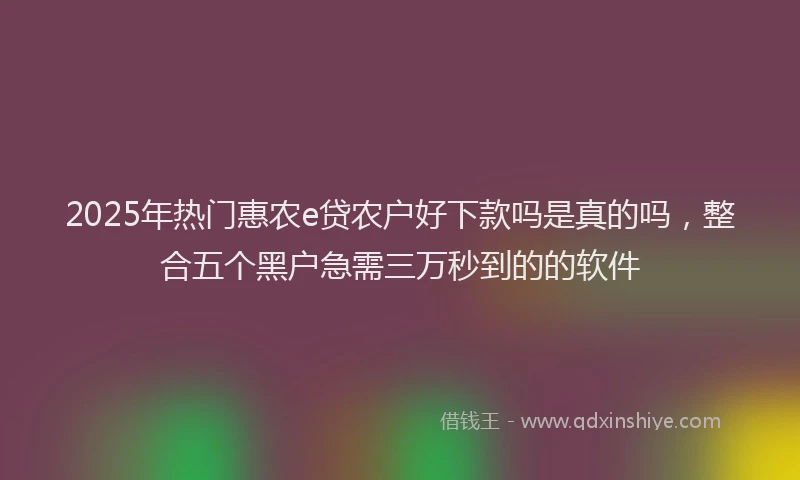 2025年热门惠农e贷农户好下款吗是真的吗，整合五个黑户急需三万秒到的的软件