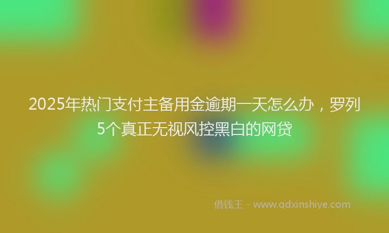 2025年热门支付主备用金逾期一天怎么办，罗列5个真正无视风控黑白的网贷