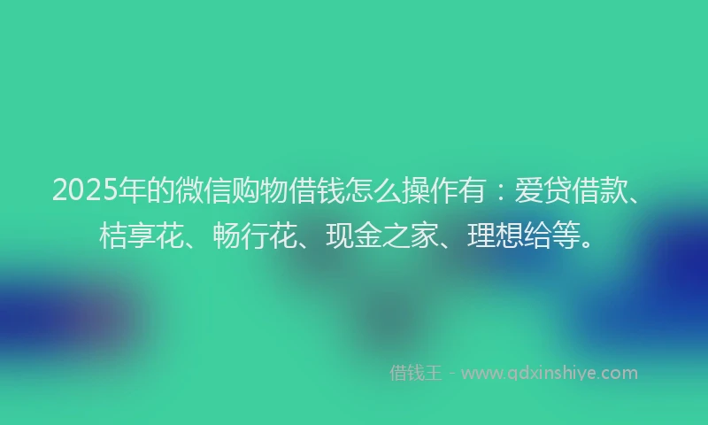 2025年的微信购物借钱怎么操作有：爱贷借款、桔享花、畅行花、现金之家、理想给等。