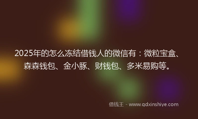 2025年的怎么冻结借钱人的微信有：微粒宝盒、森森钱包、金小豚、财钱包、多米易购等。