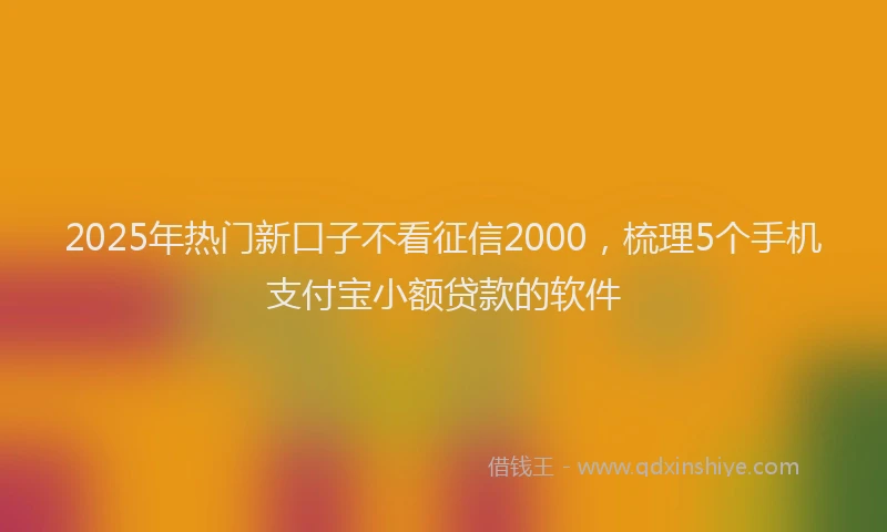 2025年热门新口子不看征信2000，梳理5个手机支付宝小额贷款的软件
