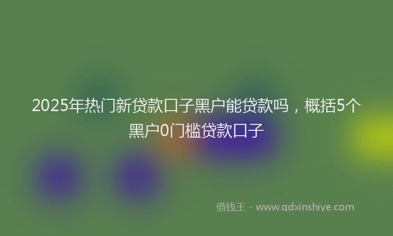 2025年热门新贷款口子黑户能贷款吗，概括5个黑户0门槛贷款口子