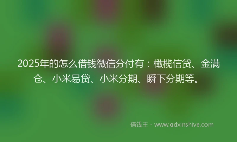 2025年的怎么借钱微信分付有：橄榄信贷、金满仓、小米易贷、小米分期、瞬下分期等。