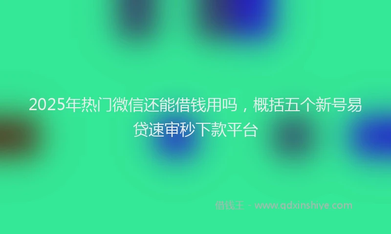 2025年热门微信还能借钱用吗，概括五个新号易贷速审秒下款平台