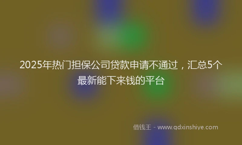 2025年热门担保公司贷款申请不通过，汇总5个最新能下来钱的平台