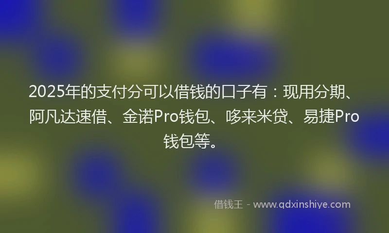 2025年的支付分可以借钱的口子有：现用分期、阿凡达速借、金诺Pro钱包、哆来米贷、易捷Pro钱包等。