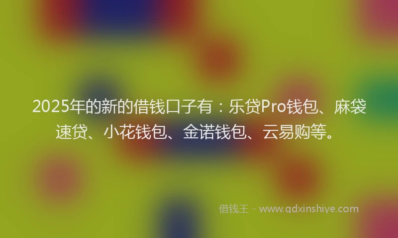 2025年的新的借钱口子有：乐贷Pro钱包、麻袋速贷、小花钱包、金诺钱包、云易购等。