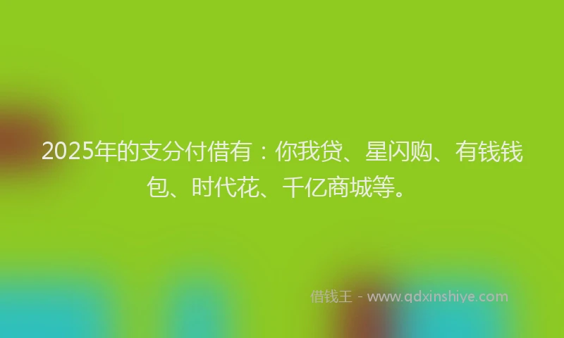 2025年的支分付借有：你我贷、星闪购、有钱钱包、时代花、千亿商城等。