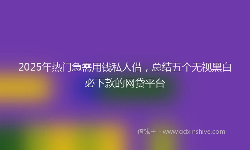 2025年热门急需用钱私人借，总结五个无视黑白必下款的网贷平台