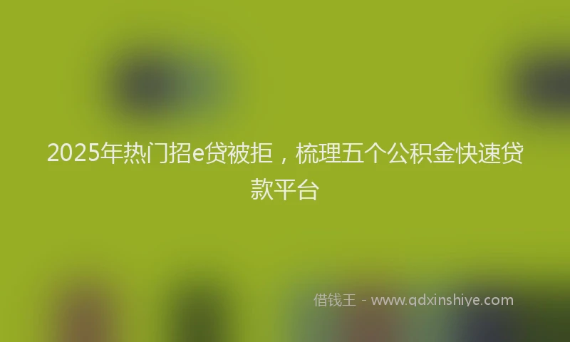 2025年热门招e贷被拒，梳理五个公积金快速贷款平台
