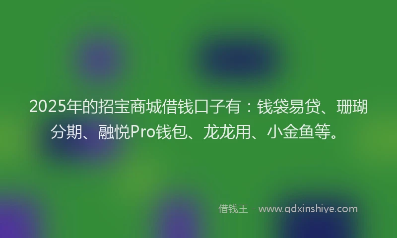 2025年的招宝商城借钱口子有：钱袋易贷、珊瑚分期、融悦Pro钱包、龙龙用、小金鱼等。