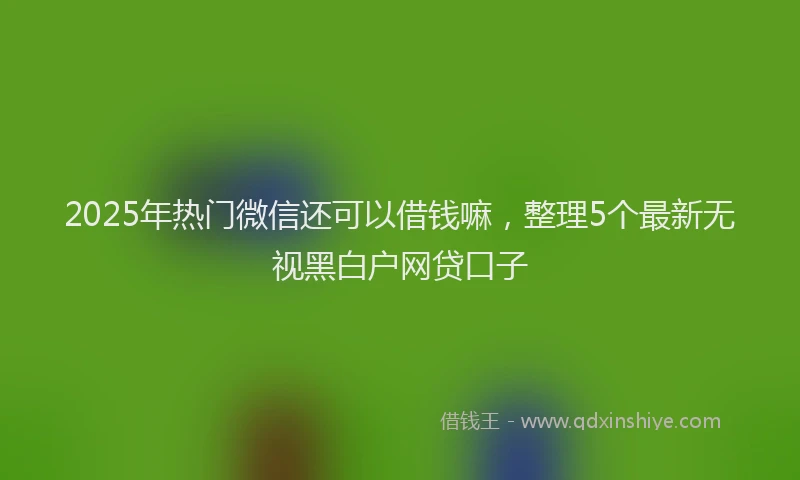 2025年热门微信还可以借钱嘛，整理5个最新无视黑白户网贷口子