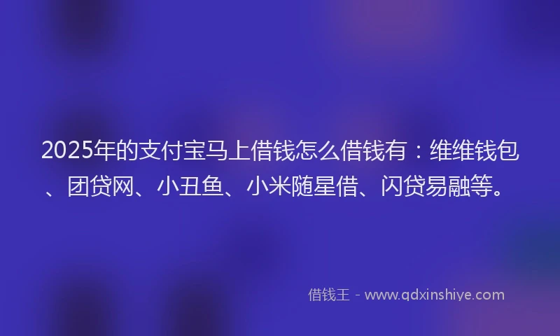 2025年的支付宝马上借钱怎么借钱有：维维钱包、团贷网、小丑鱼、小米随星借、闪贷易融等。
