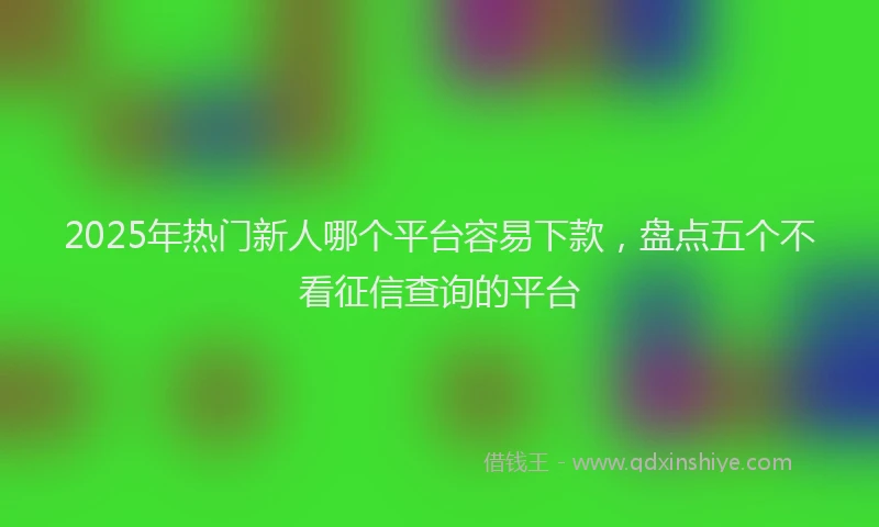 2025年热门新人哪个平台容易下款，盘点五个不看征信查询的平台