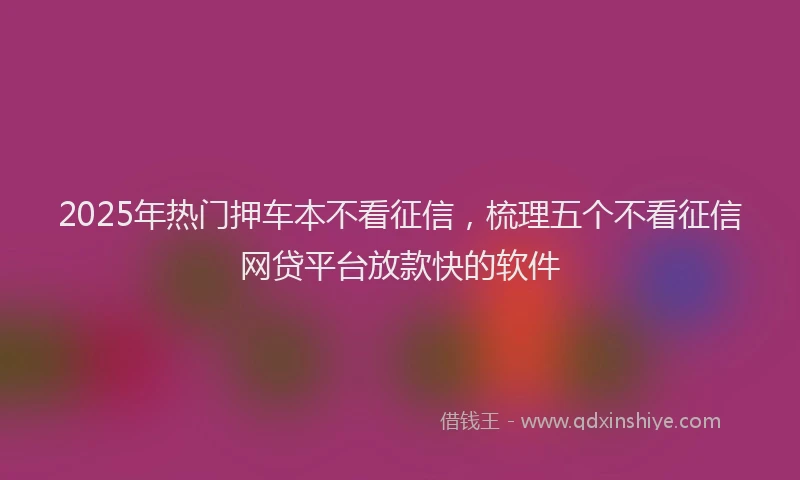 2025年热门押车本不看征信，梳理五个不看征信网贷平台放款快的软件