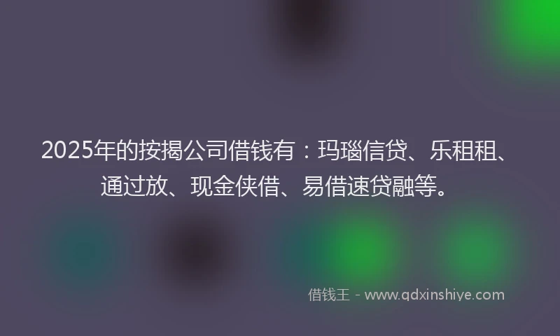 2025年的按揭公司借钱有：玛瑙信贷、乐租租、通过放、现金侠借、易借速贷融等。