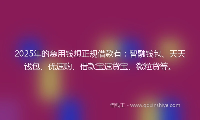 2025年的急用钱想正规借款有：智融钱包、天天钱包、优速购、借款宝速贷宝、微粒贷等。