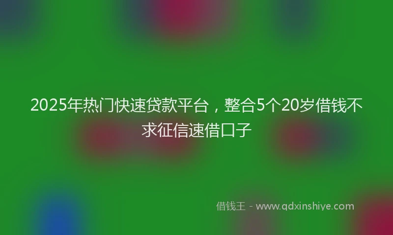 2025年热门快速贷款平台，整合5个20岁借钱不求征信速借口子