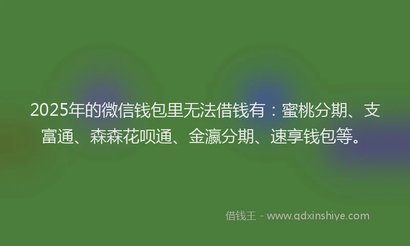 2025年的微信钱包里无法借钱有：蜜桃分期、支富通、森森花呗通、金瀛分期、速享钱包等。