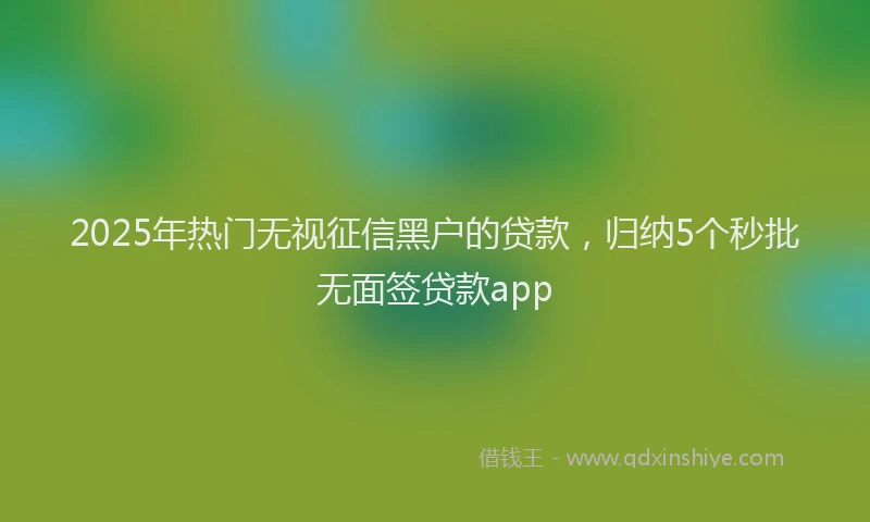 2025年热门无视征信黑户的贷款，归纳5个秒批无面签贷款app