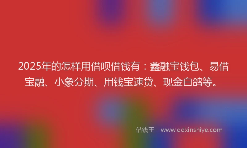 2025年的怎样用借呗借钱有：鑫融宝钱包、易借宝融、小象分期、用钱宝速贷、现金白鸽等。