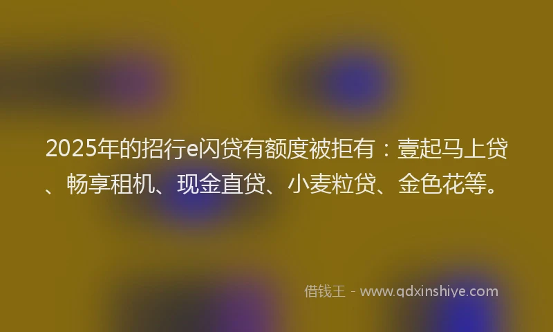 2025年的招行e闪贷有额度被拒有：壹起马上贷、畅享租机、现金直贷、小麦粒贷、金色花等。