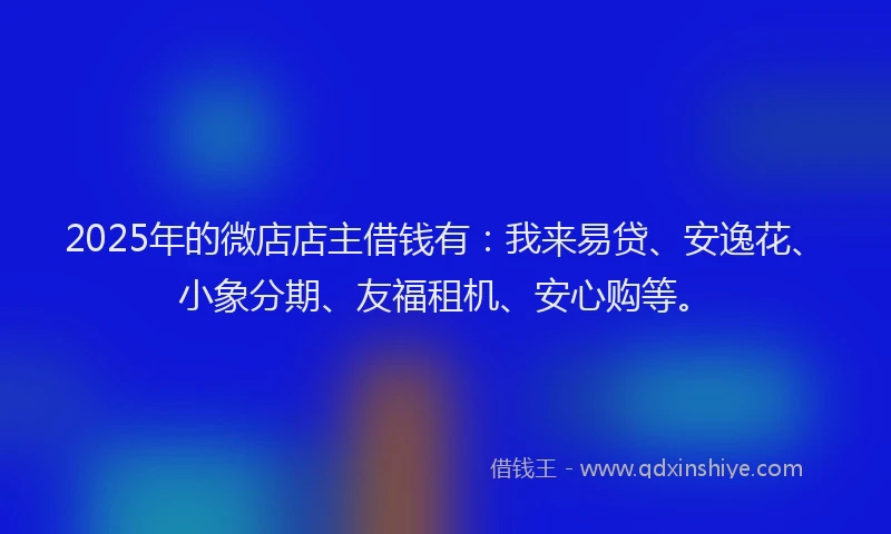 2025年的微店店主借钱有：我来易贷、安逸花、小象分期、友福租机、安心购等。