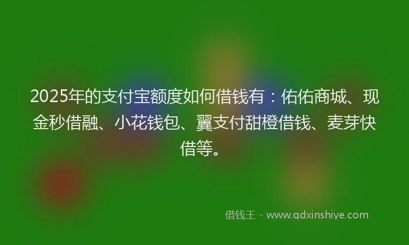 2025年的支付宝额度如何借钱有：佑佑商城、现金秒借融、小花钱包、翼支付甜橙借钱、麦芽快借等。