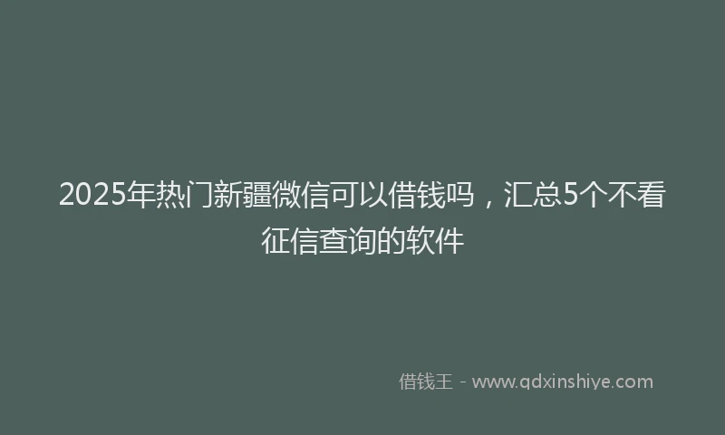 2025年热门新疆微信可以借钱吗，汇总5个不看征信查询的软件
