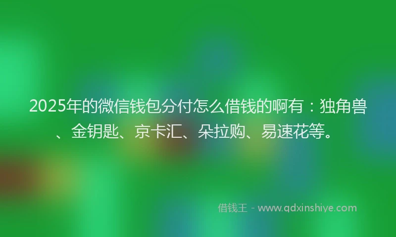 2025年的微信钱包分付怎么借钱的啊有：独角兽、金钥匙、京卡汇、朵拉购、易速花等。