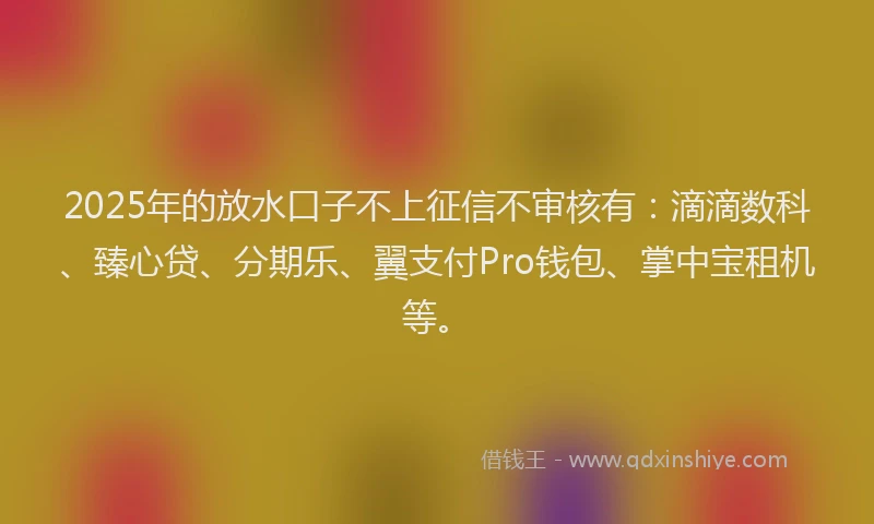 2025年的放水口子不上征信不审核有：滴滴数科、臻心贷、分期乐、翼支付Pro钱包、掌中宝租机等。