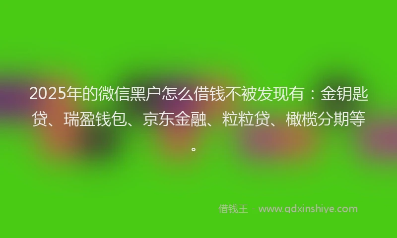 2025年的微信黑户怎么借钱不被发现有：金钥匙贷、瑞盈钱包、京东金融、粒粒贷、橄榄分期等。