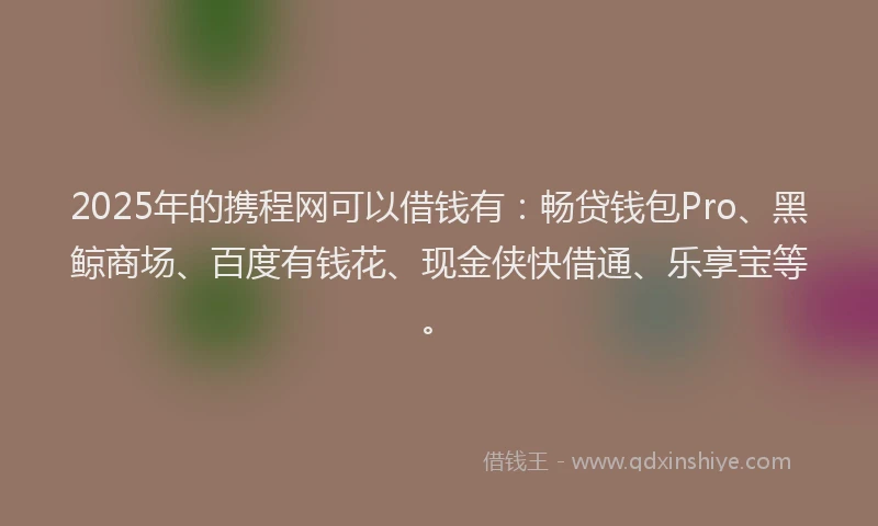2025年的携程网可以借钱有：畅贷钱包Pro、黑鲸商场、百度有钱花、现金侠快借通、乐享宝等。