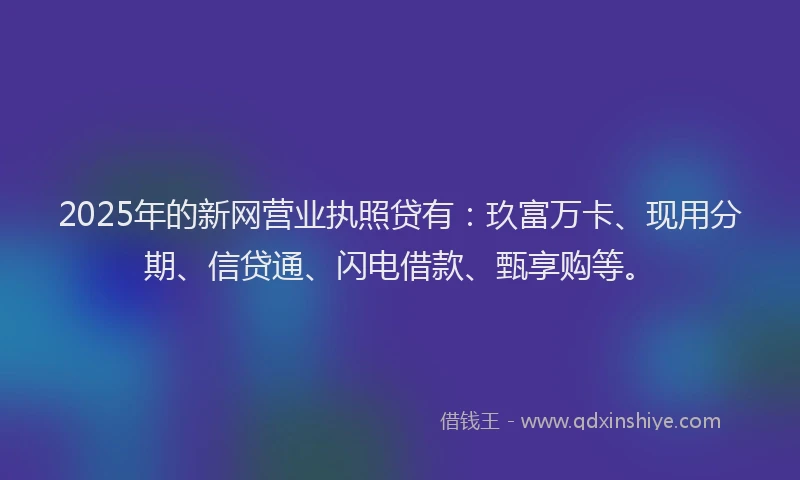 2025年的新网营业执照贷有：玖富万卡、现用分期、信贷通、闪电借款、甄享购等。