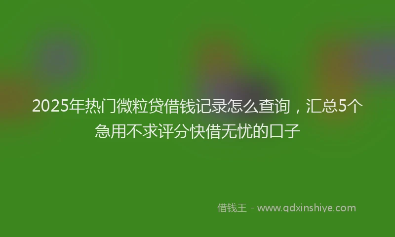 2025年热门微粒贷借钱记录怎么查询，汇总5个急用不求评分快借无忧的口子