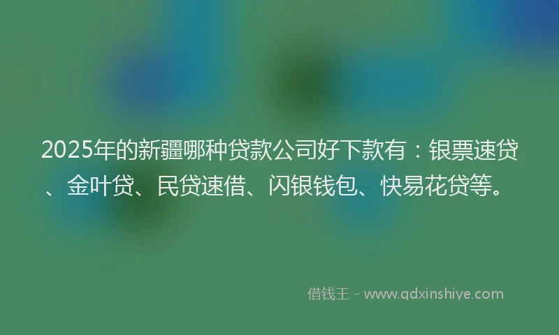 2025年的新疆哪种贷款公司好下款有：银票速贷、金叶贷、民贷速借、闪银钱包、快易花贷等。