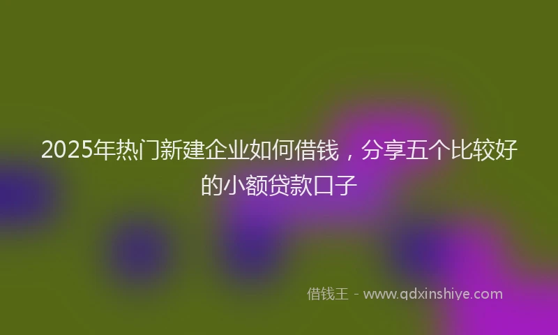 2025年热门新建企业如何借钱，分享五个比较好的小额贷款口子