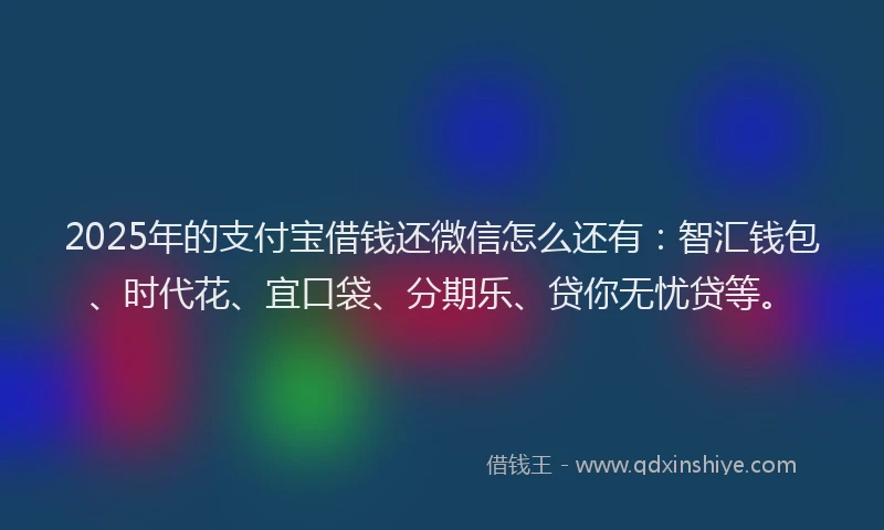 2025年的支付宝借钱还微信怎么还有：智汇钱包、时代花、宜口袋、分期乐、贷你无忧贷等。