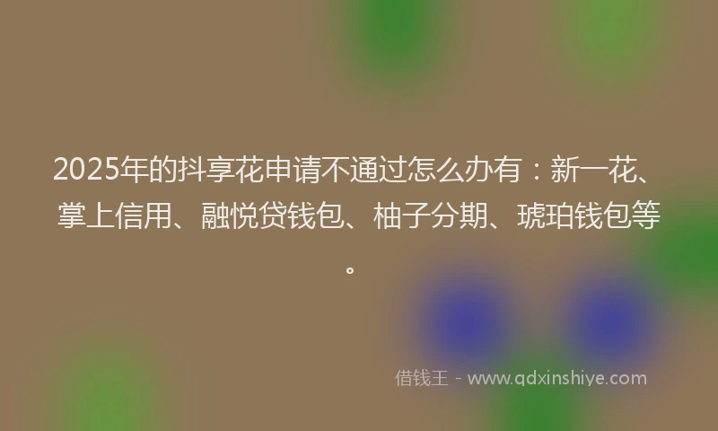 2025年的抖享花申请不通过怎么办有：新一花、掌上信用、融悦贷钱包、柚子分期、琥珀钱包等。