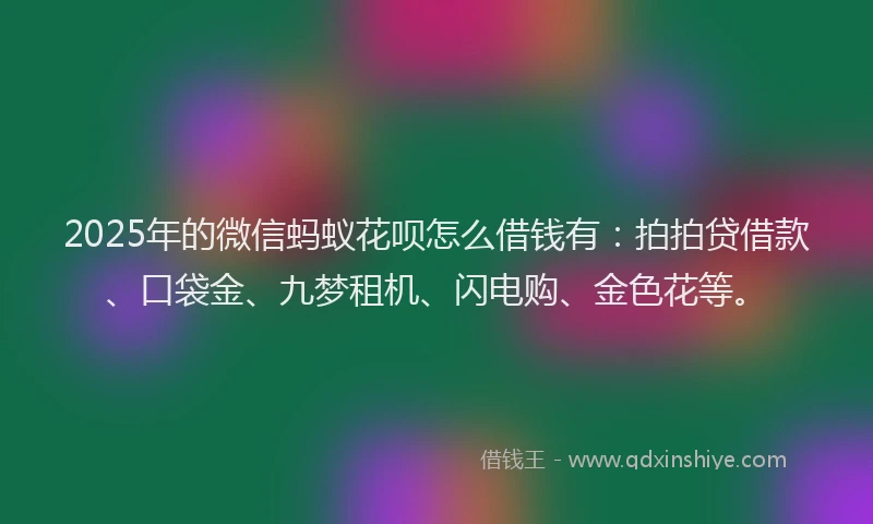 2025年的微信蚂蚁花呗怎么借钱有：拍拍贷借款、口袋金、九梦租机、闪电购、金色花等。