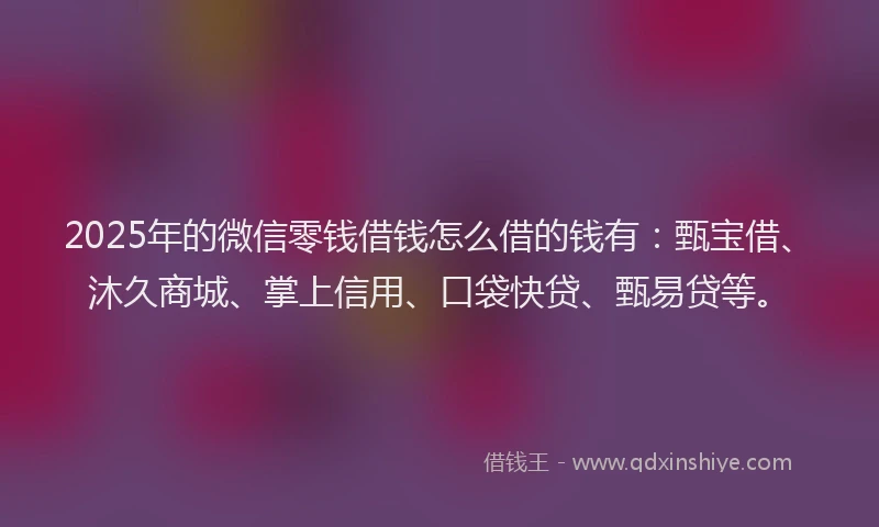 2025年的微信零钱借钱怎么借的钱有：甄宝借、沐久商城、掌上信用、口袋快贷、甄易贷等。