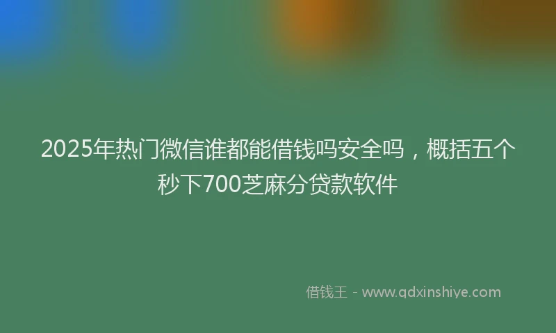 2025年热门微信谁都能借钱吗安全吗，概括五个秒下700芝麻分贷款软件
