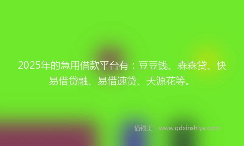 2025年的急用借款平台有：豆豆钱、森森贷、快易借贷融、易借速贷、天源花等。